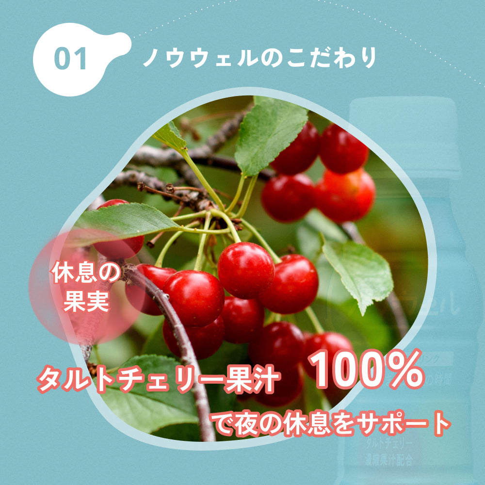 ノウウェル 100ml×10本セット