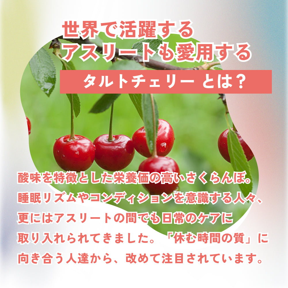 ノウウェル 100ml×10本セット