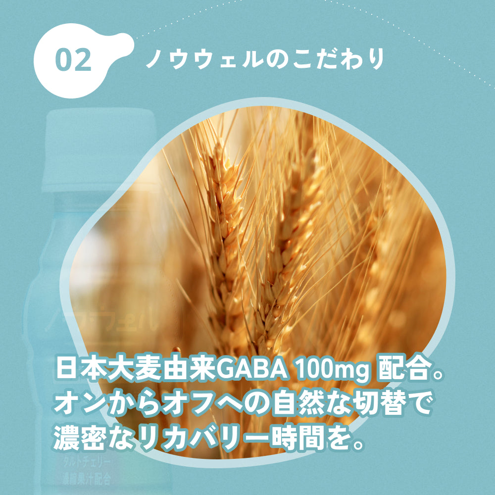 ノウウェル 100ml×10本セット