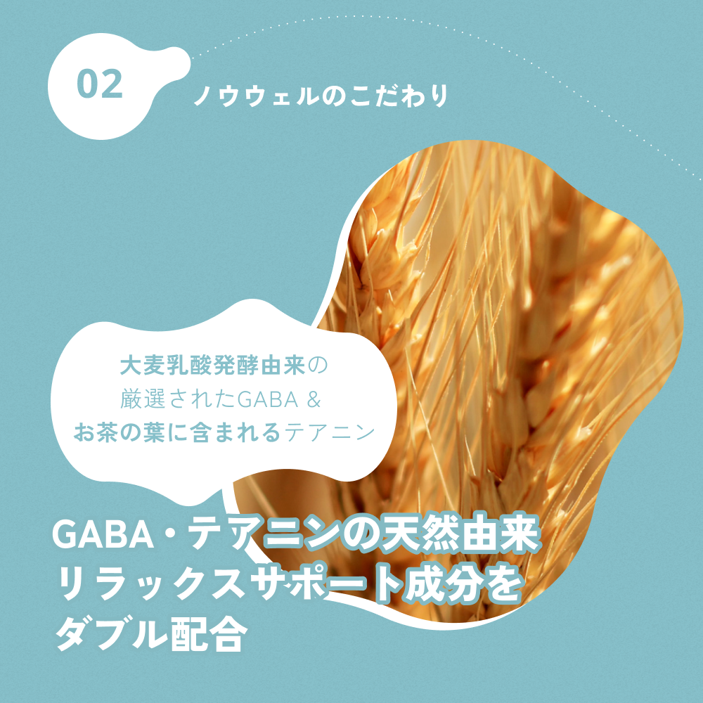 ノウウェル 1ヶ月分セット（100ml×30本）