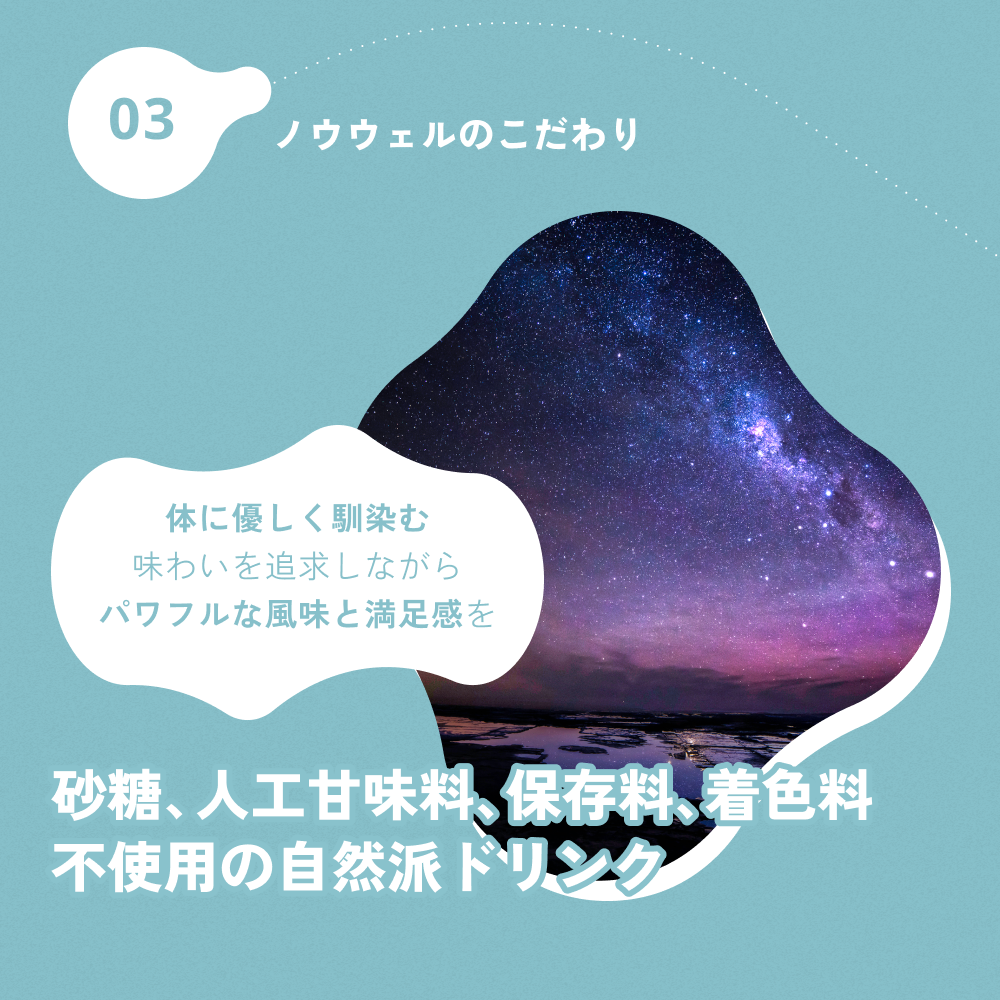 ノウウェル 100ml×10本セット